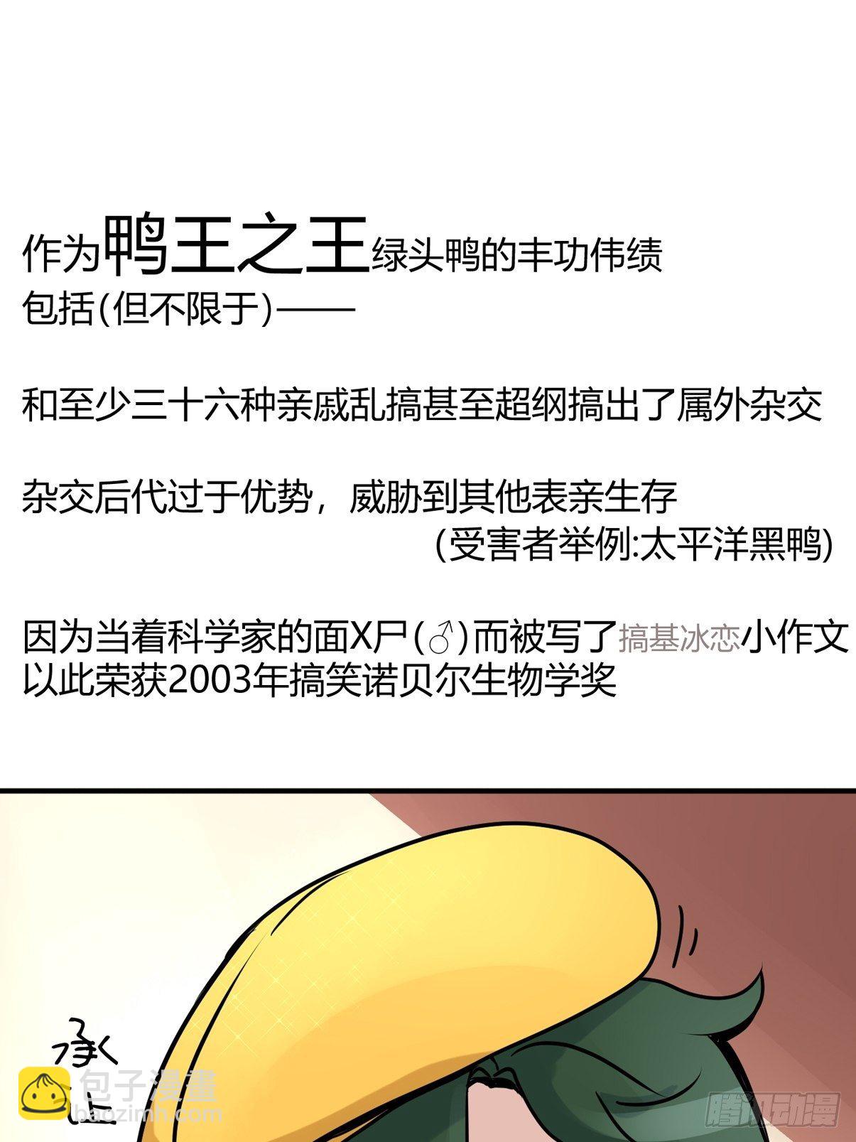 事业篇II：鸭鸭的奇妙冒险&middot;下-第221话