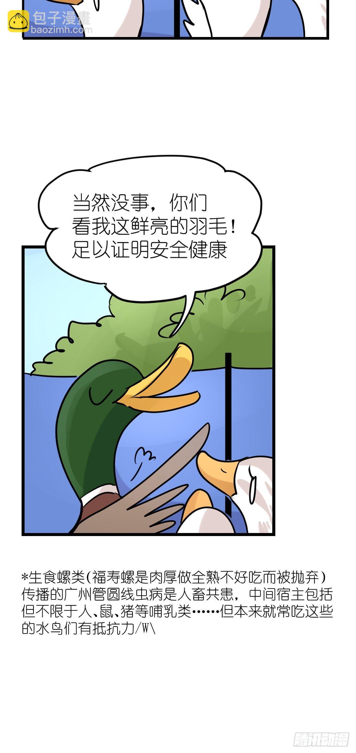 事业篇II：鸭鸭的奇妙冒险&middot;下-第221话