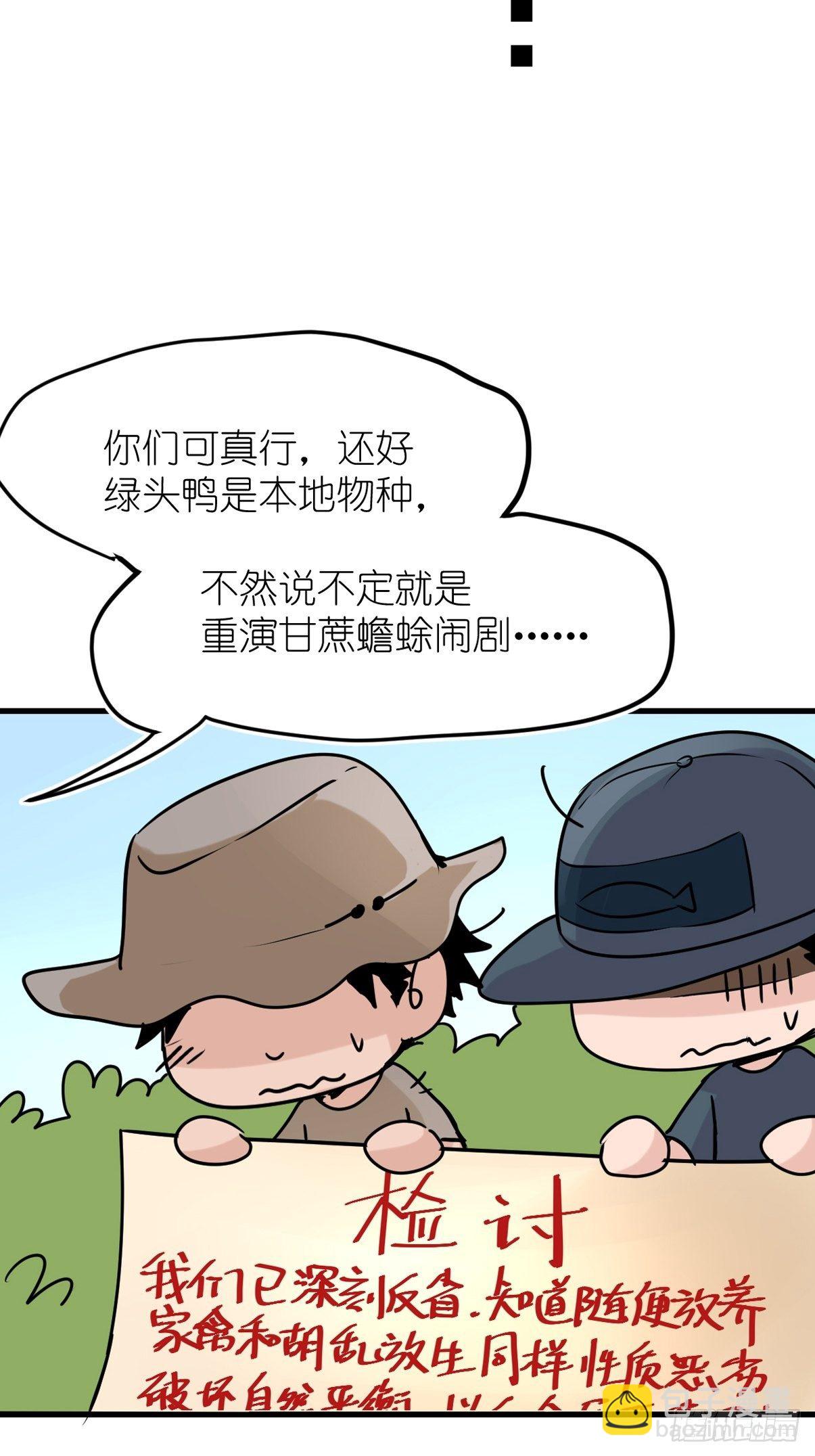 事业篇II：鸭鸭的奇妙冒险&middot;下-第221话