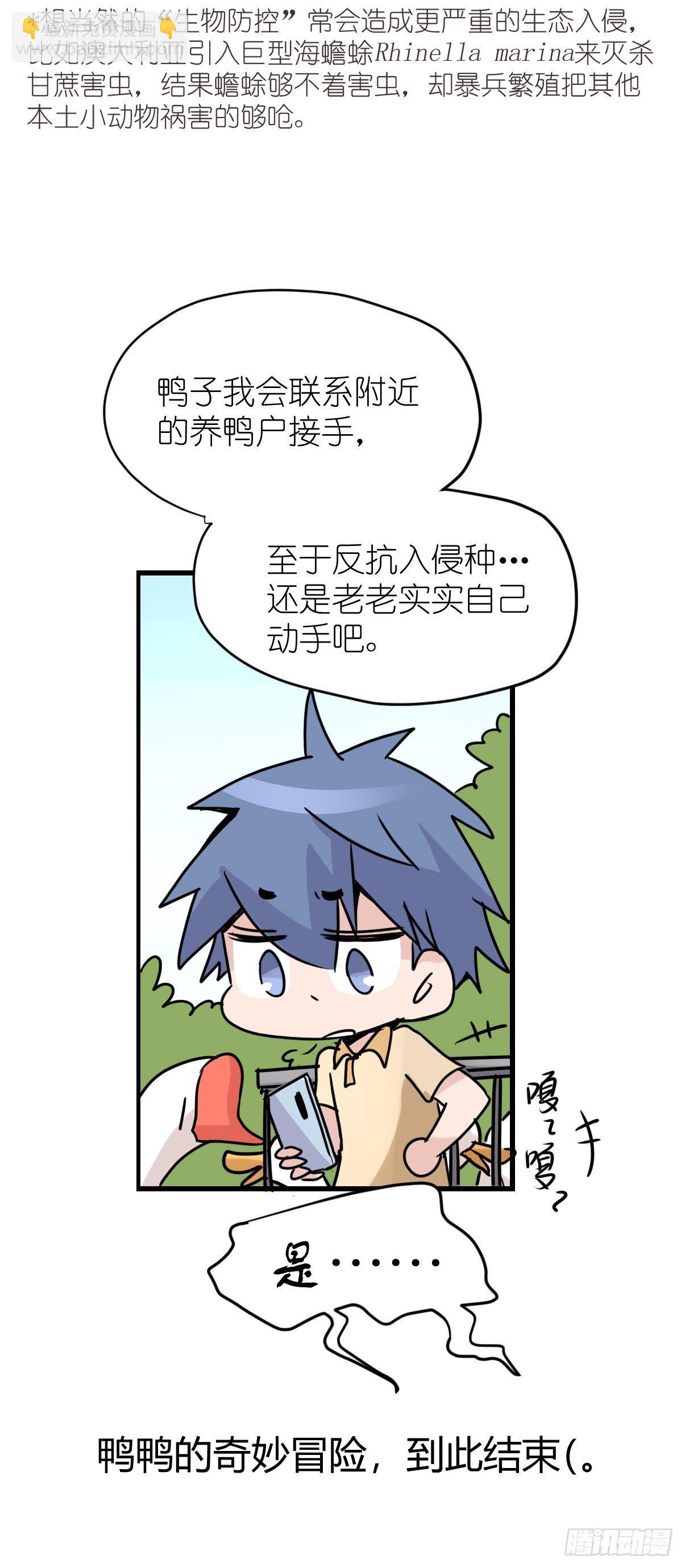 事业篇II：鸭鸭的奇妙冒险&middot;下-第221话
