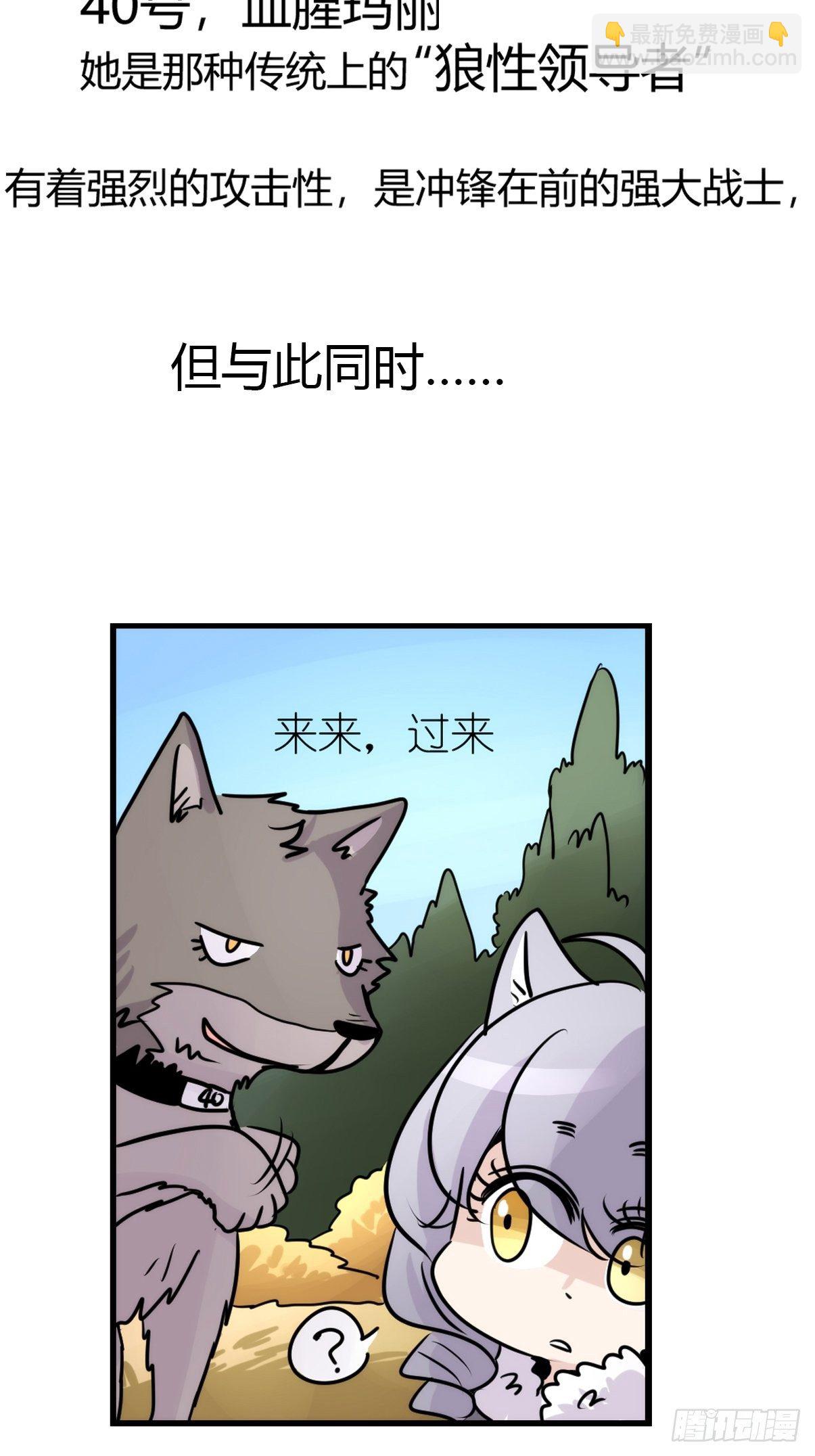 狼传奇：洗牌-第225话