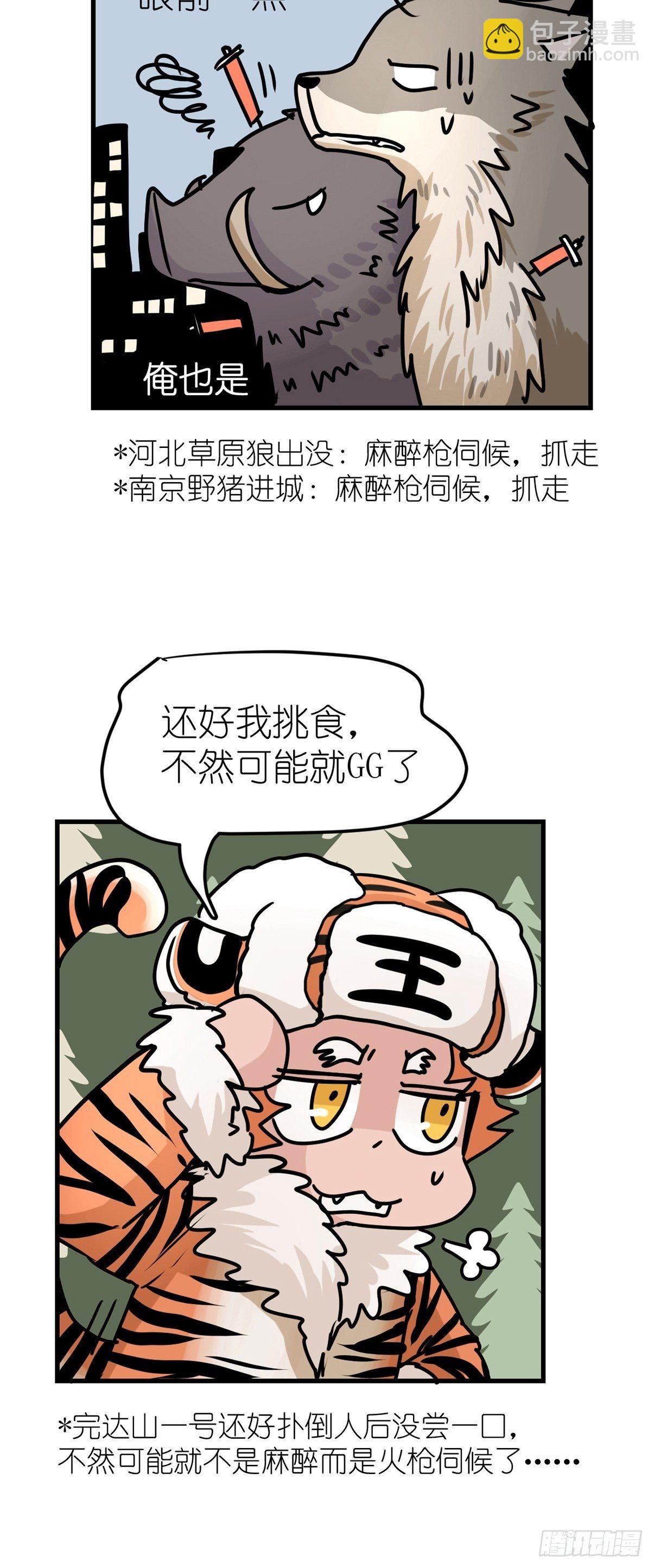 狼传奇：自然运行的力量-第231话