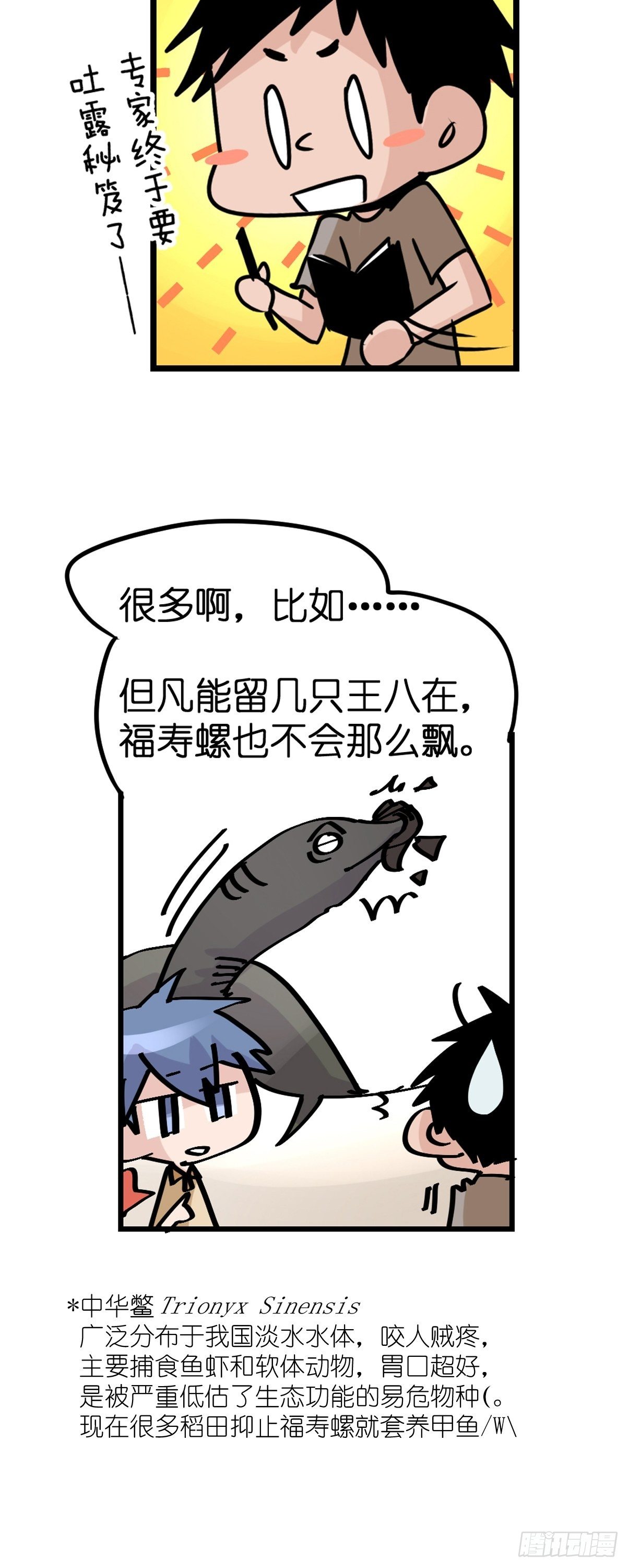 狼传奇：自然运行的力量-第231话