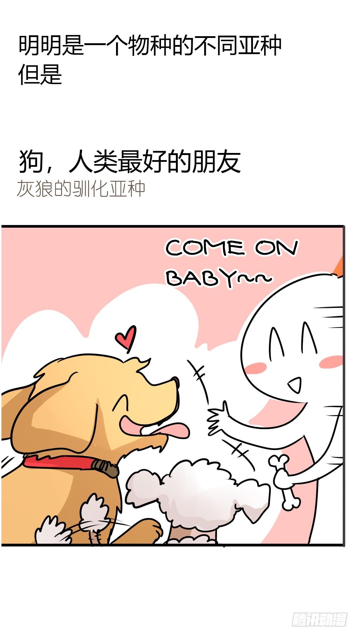 狼传奇：自然运行的力量-第231话