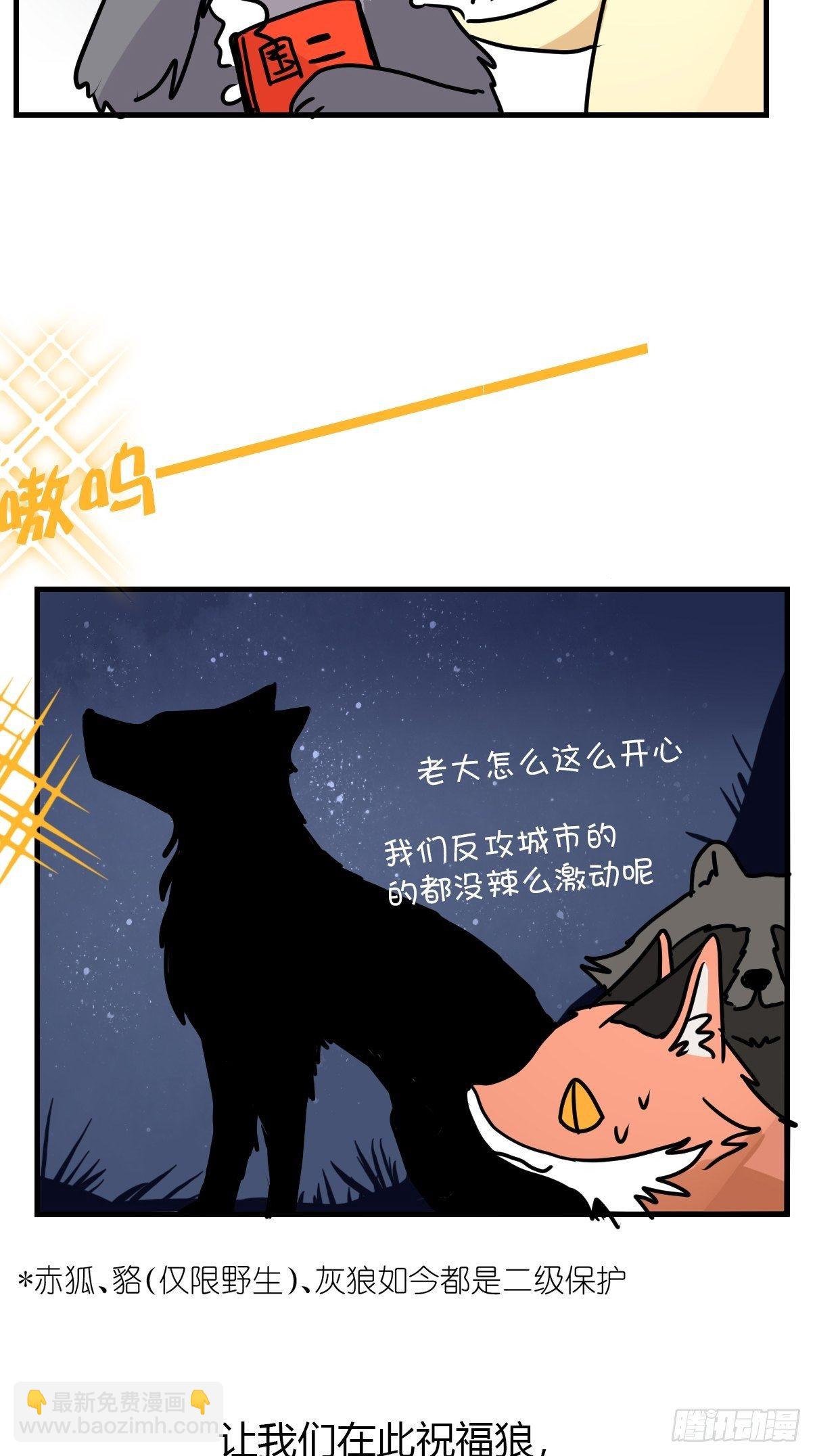 狼传奇：自然运行的力量-第231话