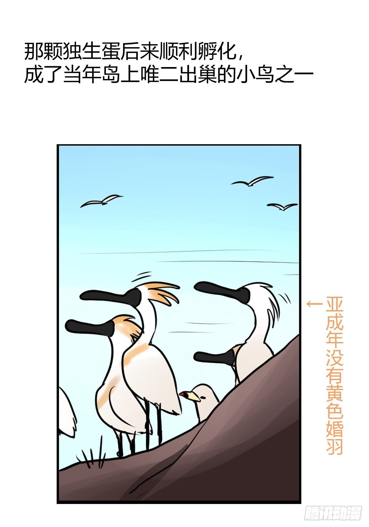 四海篇03：一波未平(1/2)-第235话
