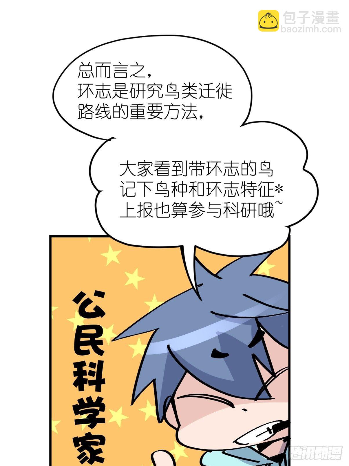 四海篇03：一波未平(1/2)-第235话