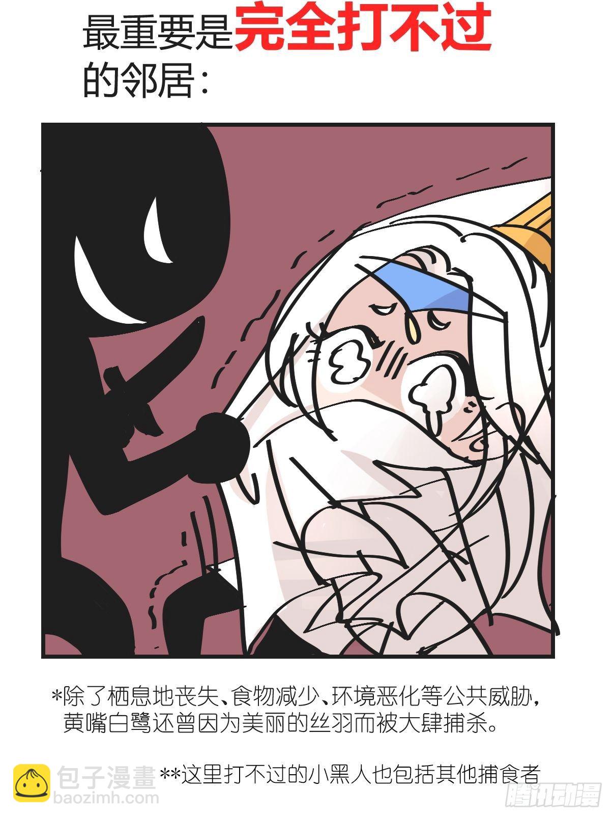 四海篇05：不要给陌生鸟开门-第237话