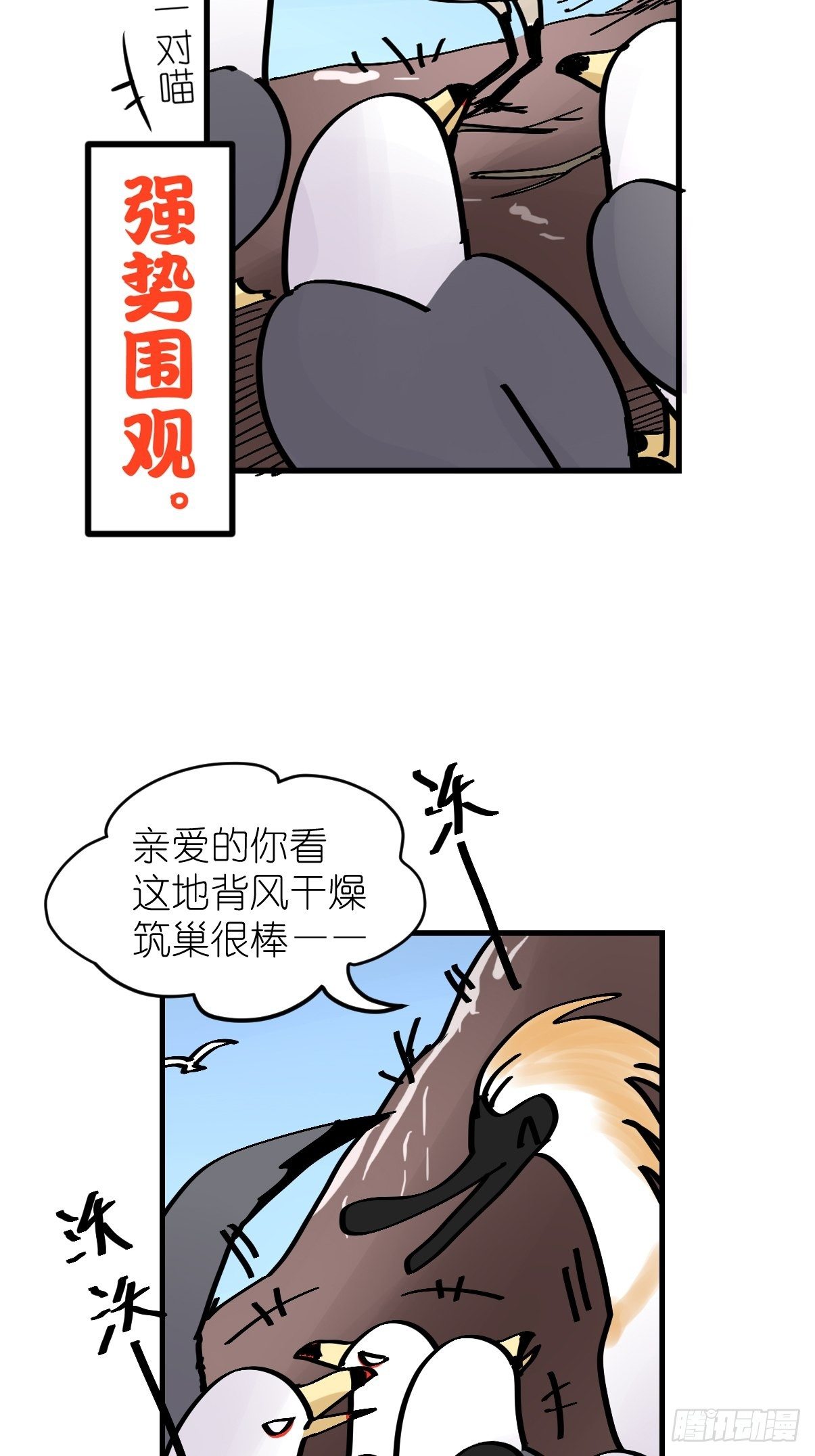 四海篇05：不要给陌生鸟开门-第237话