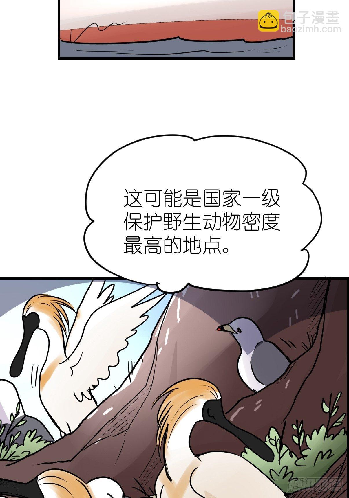 四海篇05：不要给陌生鸟开门-第237话