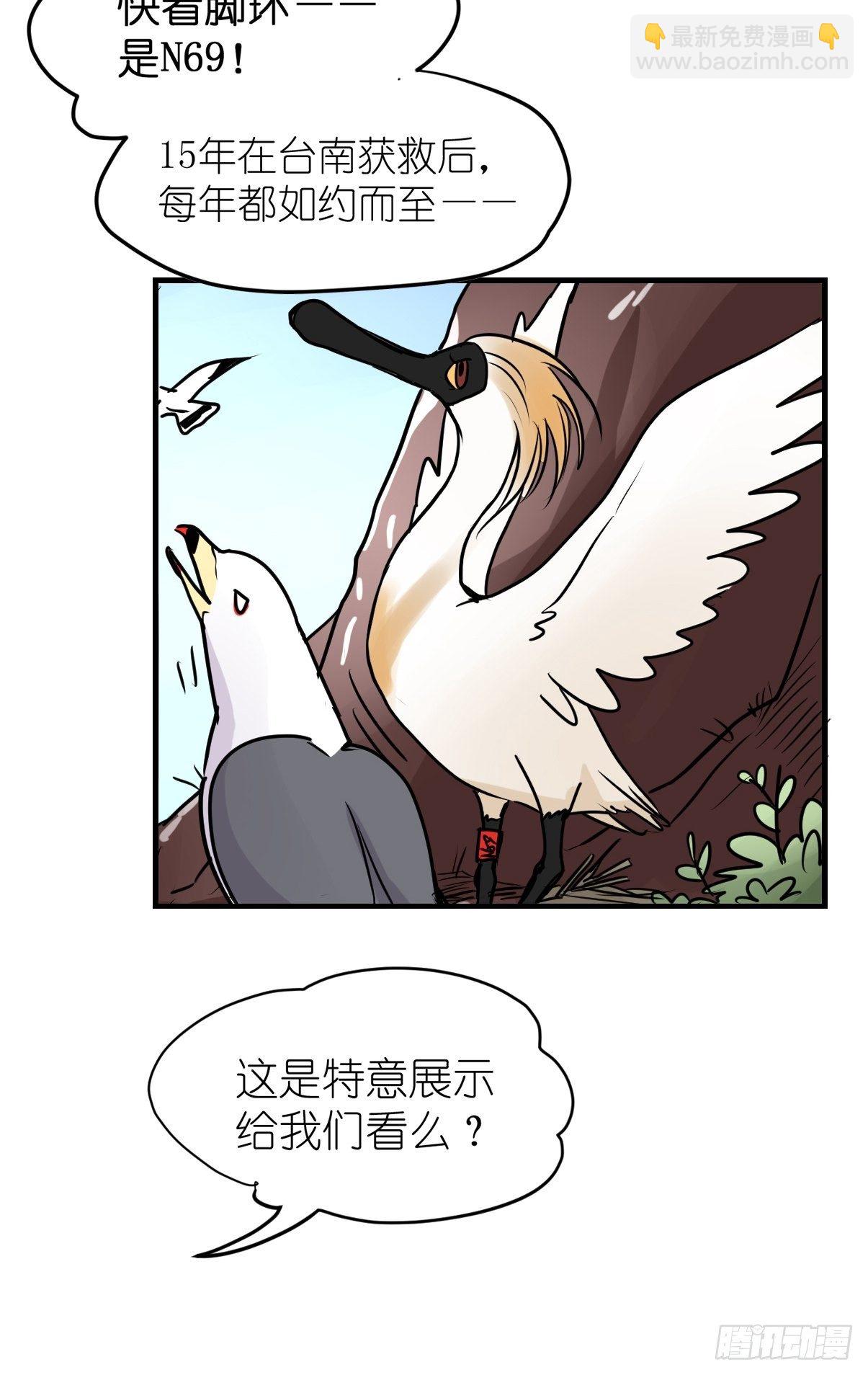 四海篇05：不要给陌生鸟开门-第237话