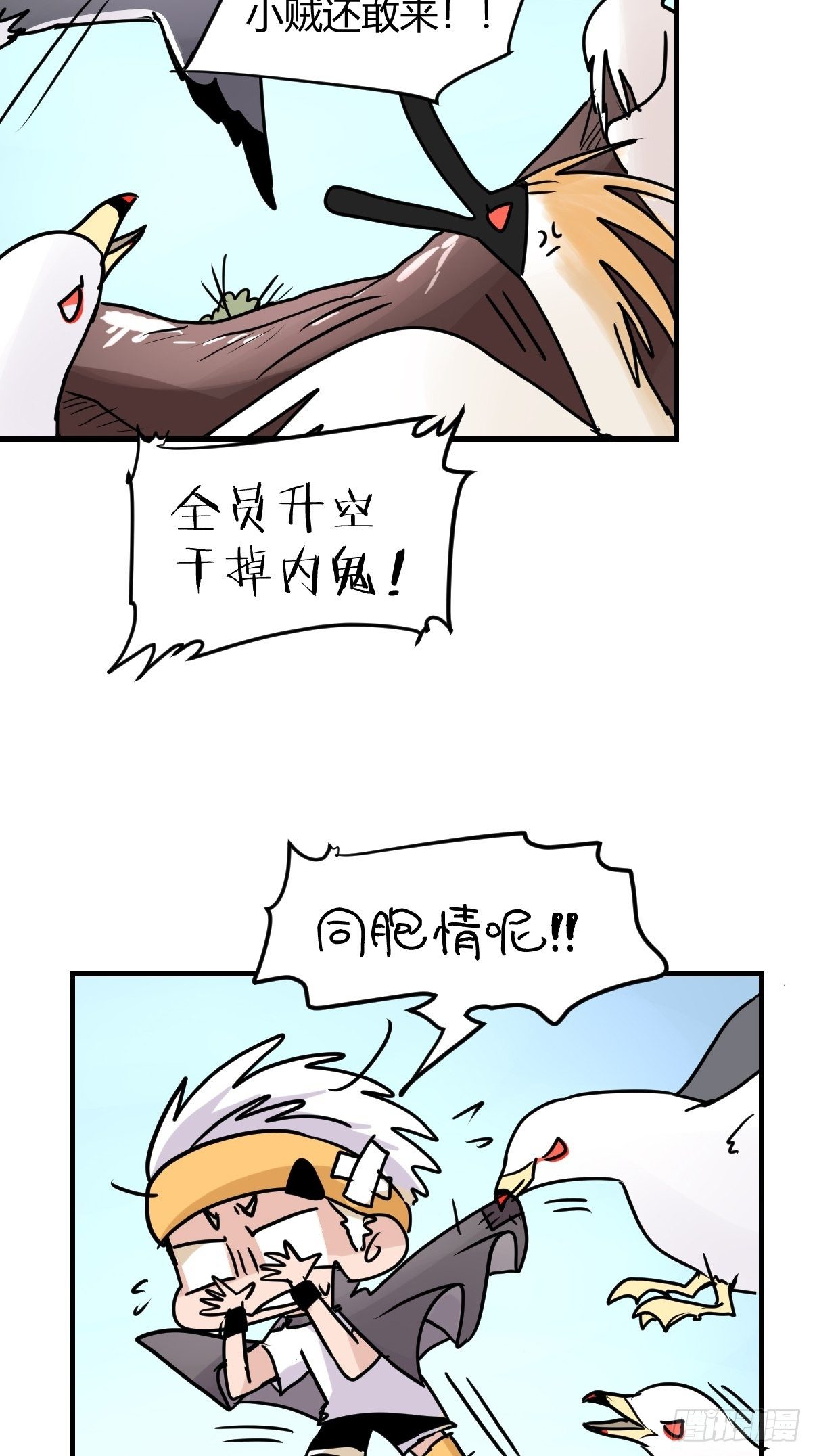 四海篇05：不要给陌生鸟开门-第237话