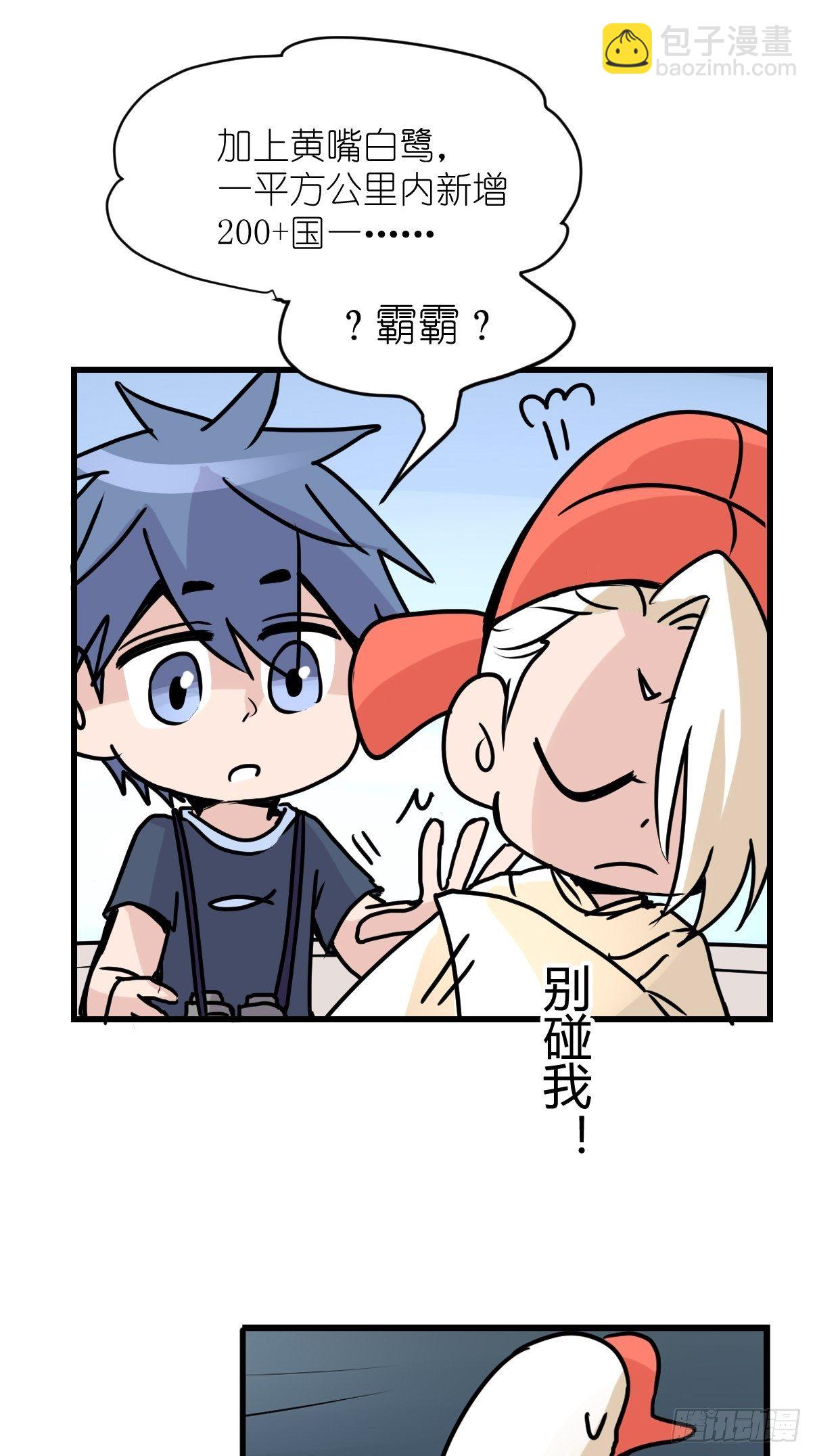 四海篇07：新卡解锁！-第239话