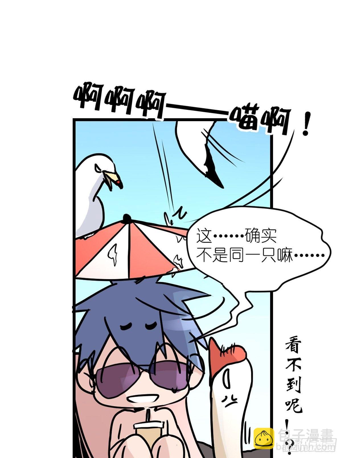 四海篇07：新卡解锁！-第239话