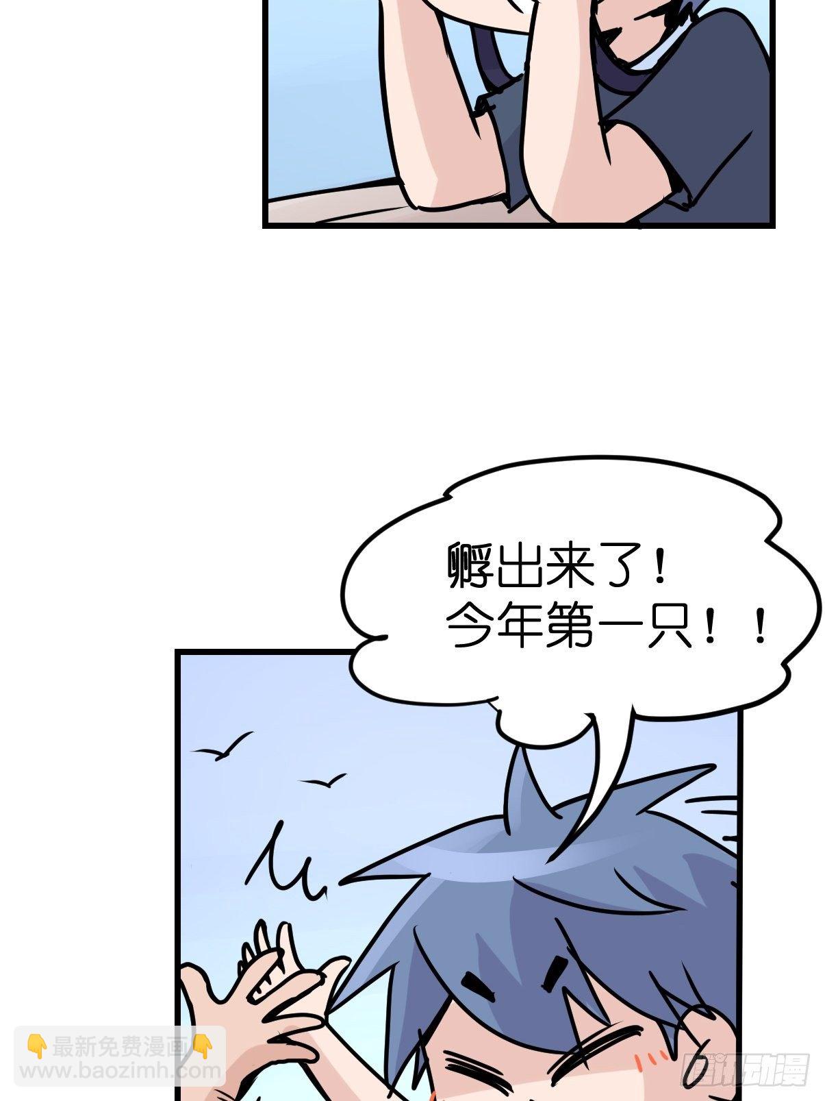 四海篇07：新卡解锁！-第239话
