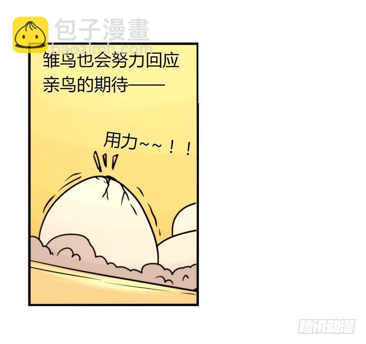 飞吧小少爷：生生不息-第25话