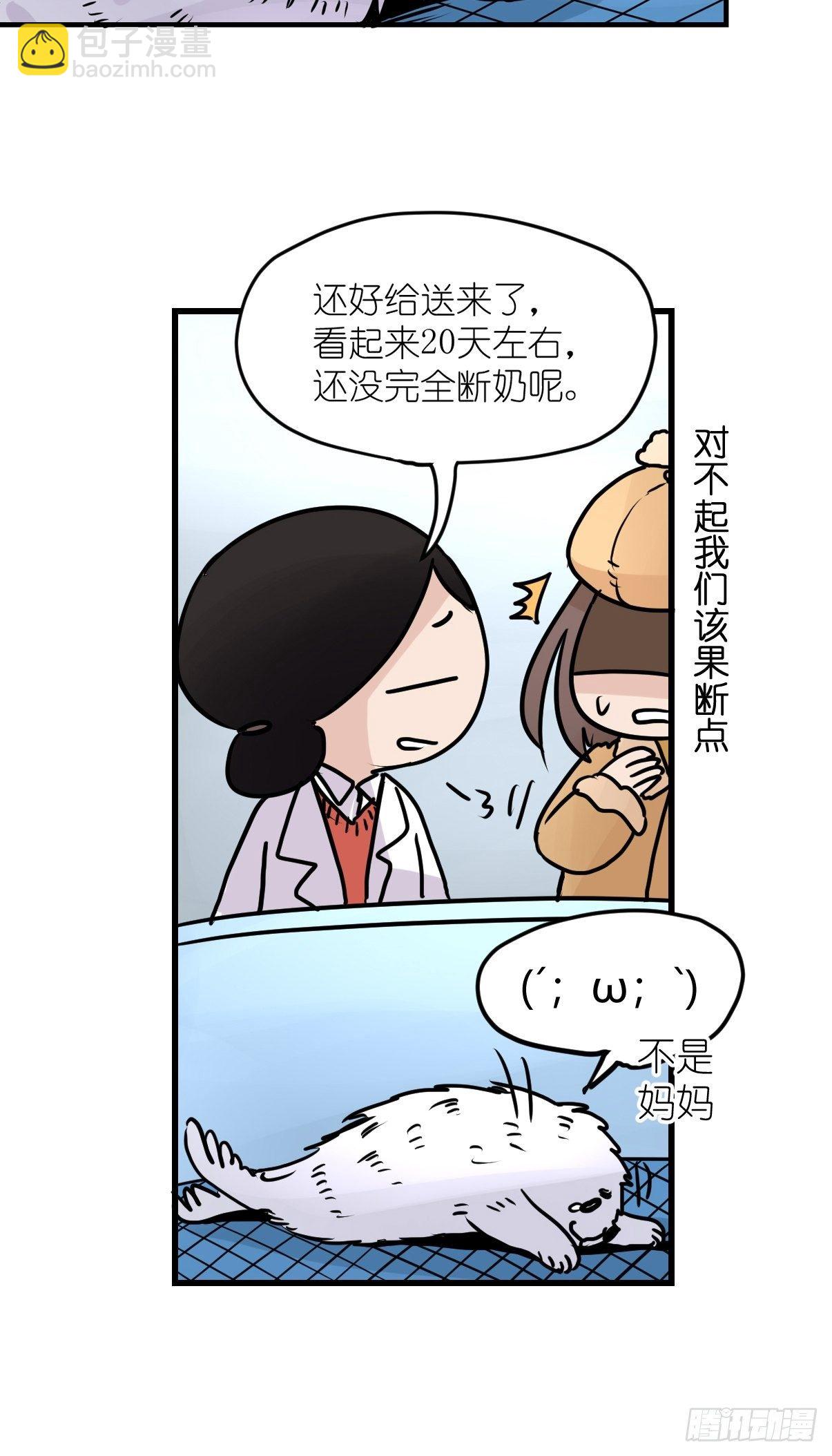 四海篇09：海豹豹的奇幻漂流2-第241话