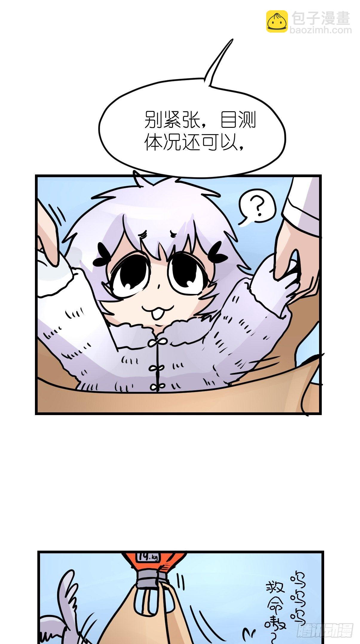 四海篇09：海豹豹的奇幻漂流2-第241话
