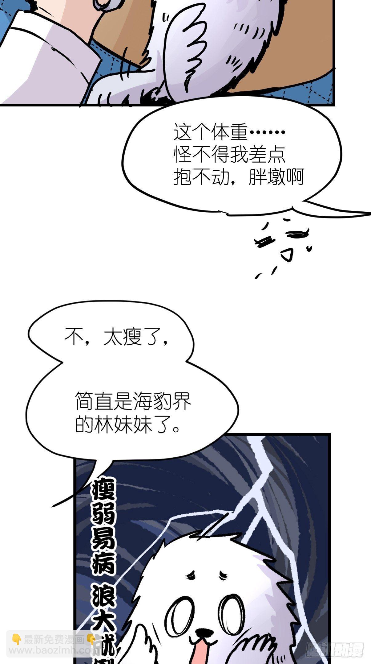 四海篇09：海豹豹的奇幻漂流2-第241话
