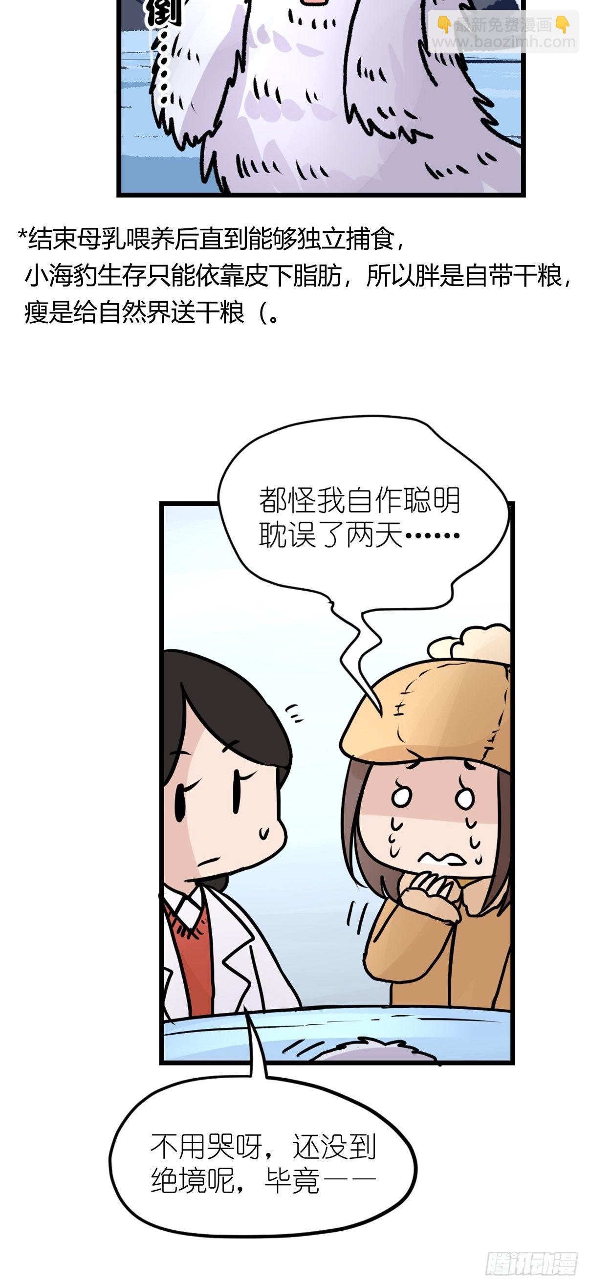 四海篇09：海豹豹的奇幻漂流2-第241话