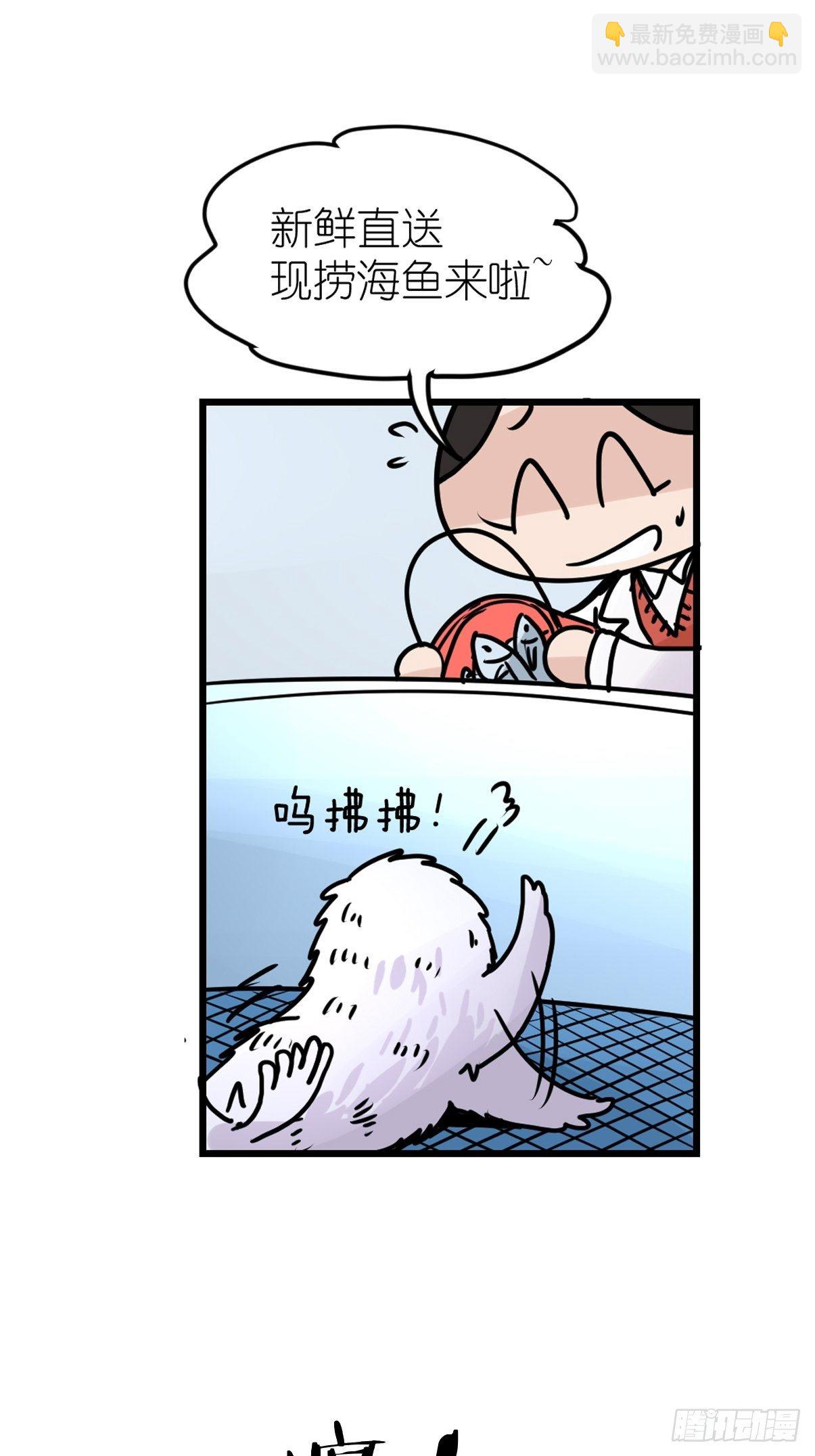 四海篇09：海豹豹的奇幻漂流2-第241话