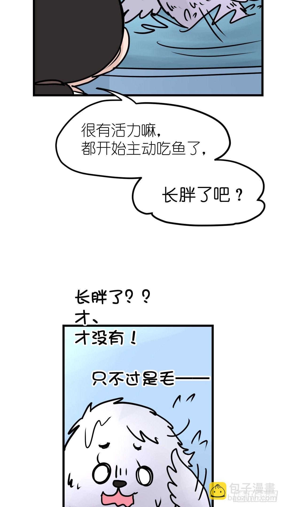 四海篇09：海豹豹的奇幻漂流2-第241话