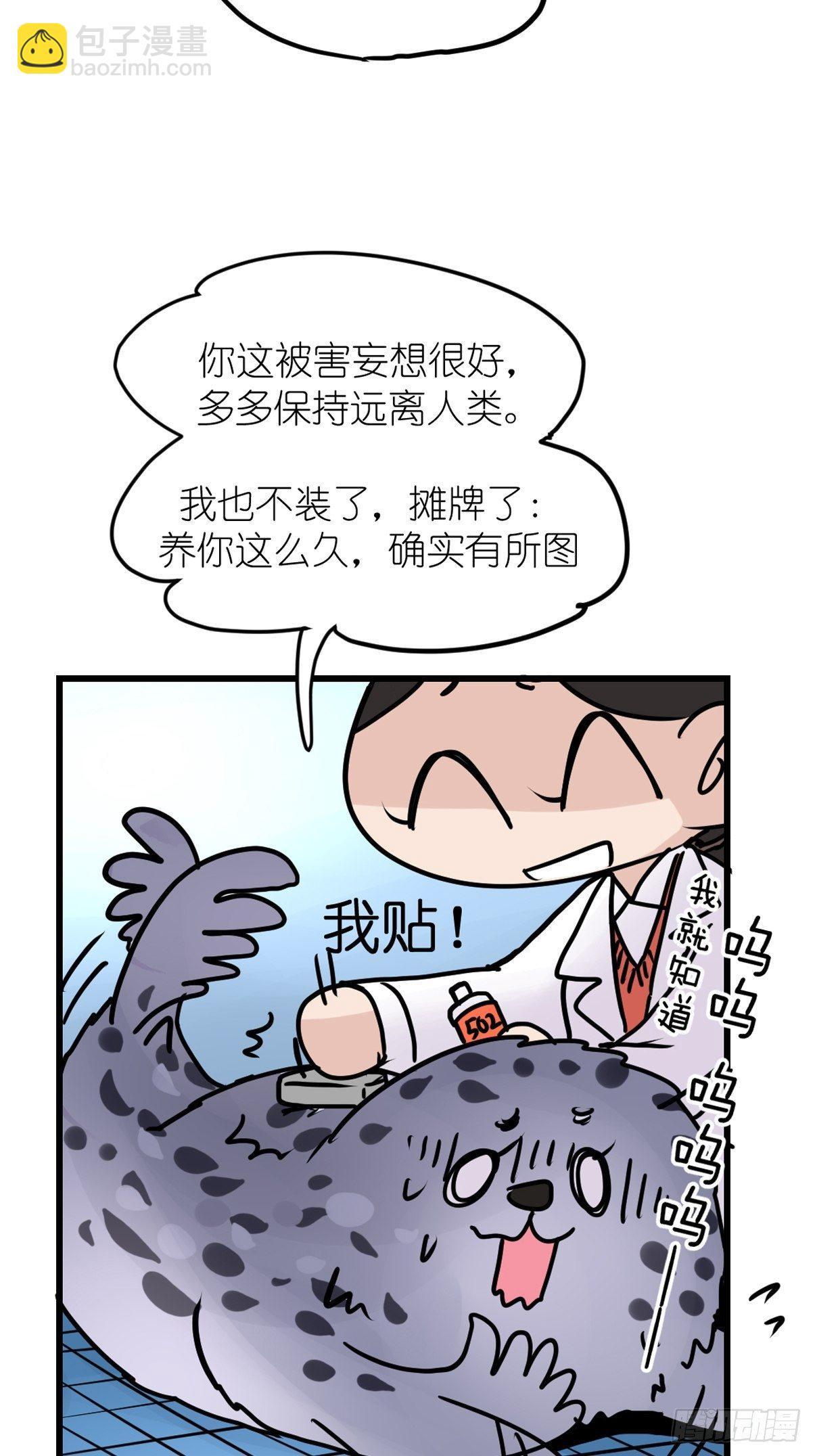 四海篇09：海豹豹的奇幻漂流2-第241话