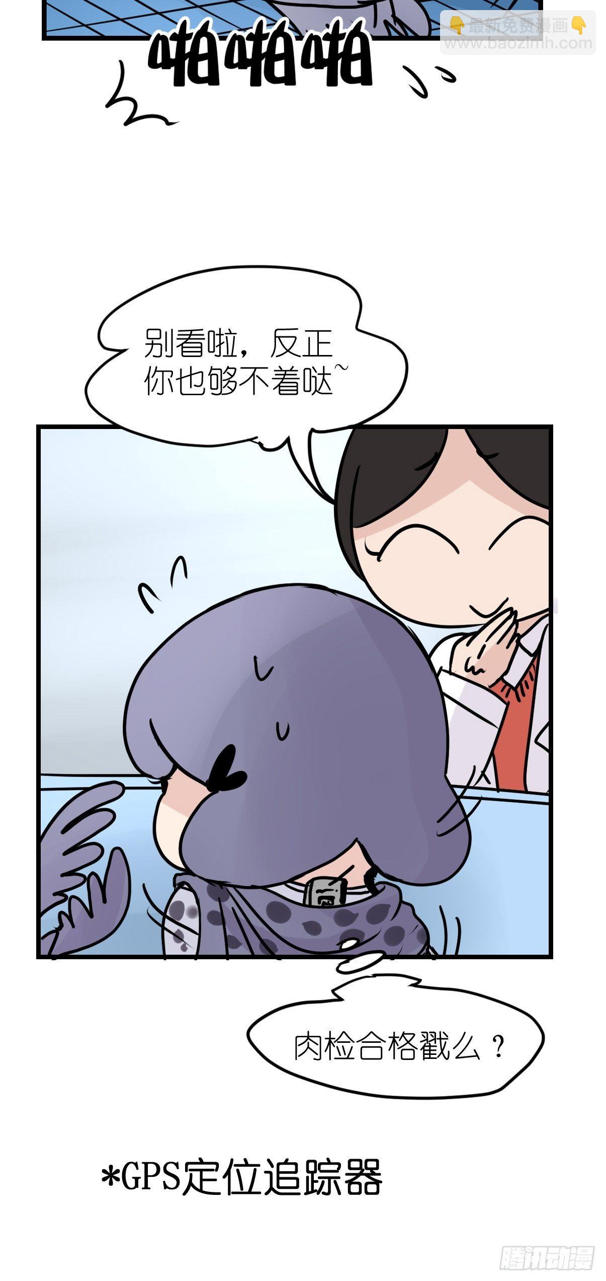 四海篇09：海豹豹的奇幻漂流2-第241话
