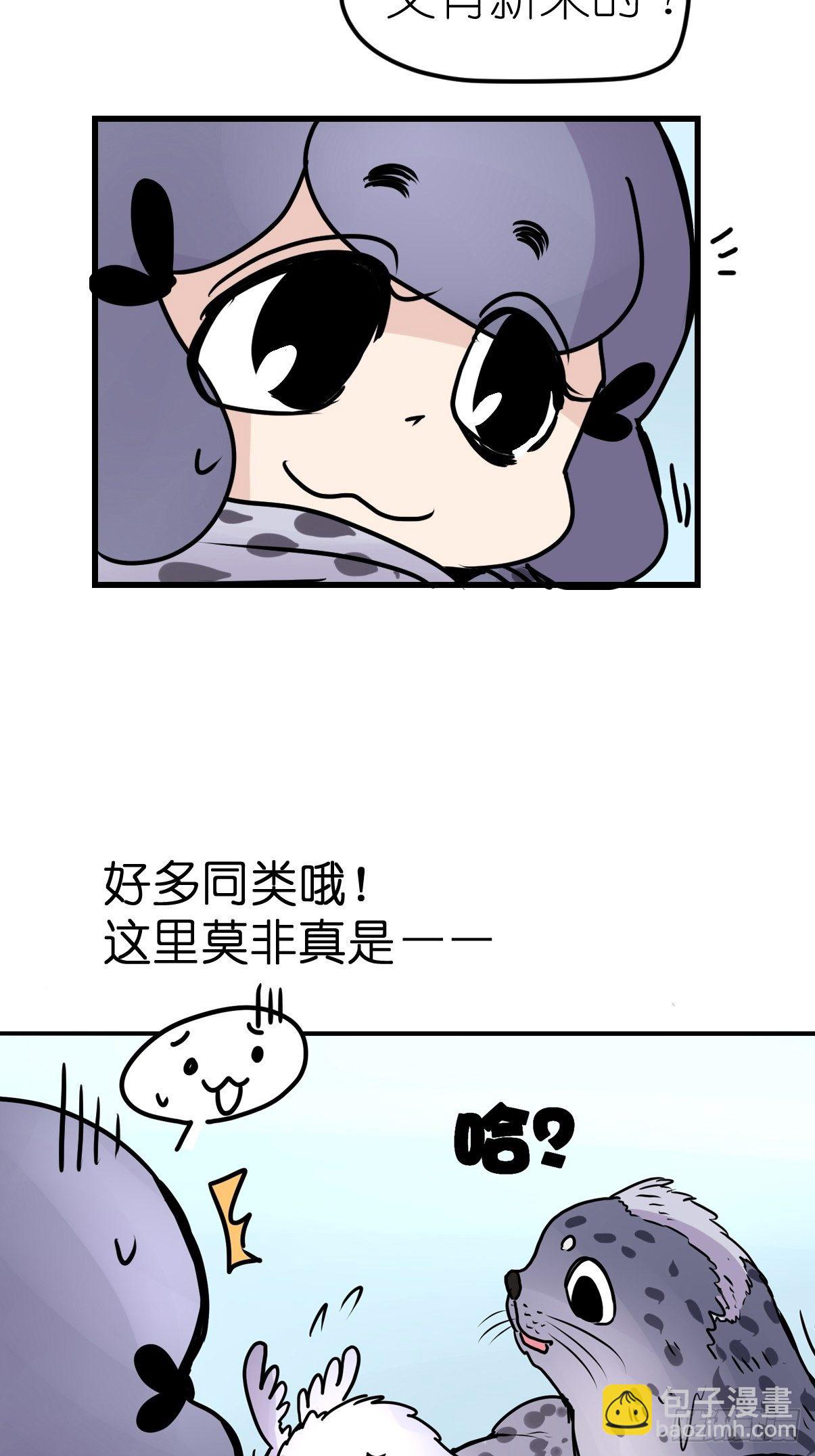 四海篇09：海豹豹的奇幻漂流2-第241话