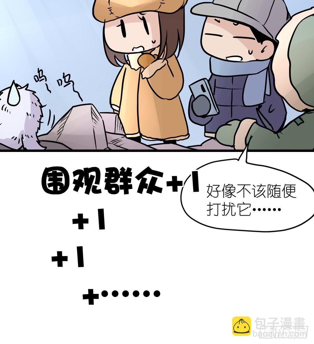 四海篇09：海豹豹的奇幻漂流2-第241话