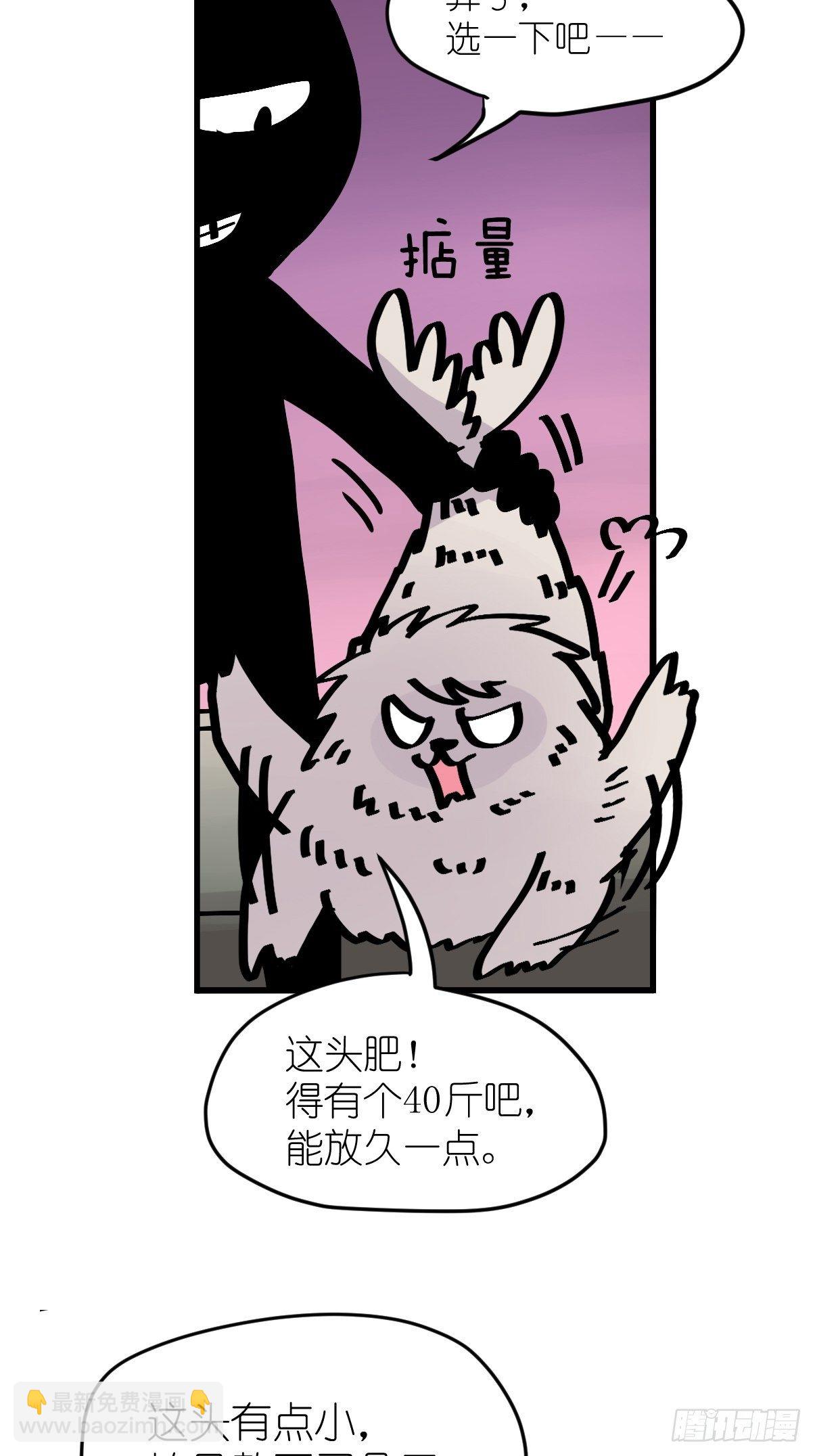 四海篇11：海豹豹的奇幻漂流4(1/2)-第243话