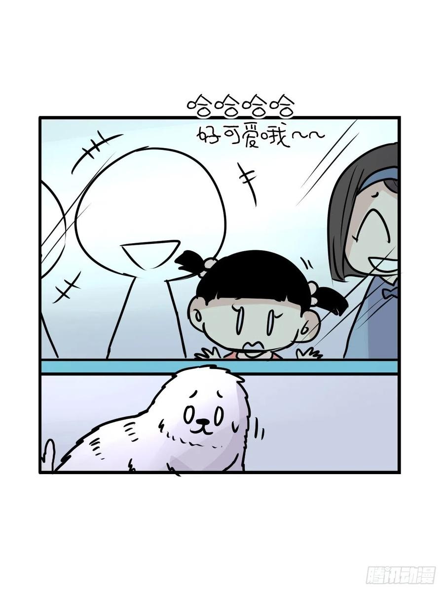 四海篇13：海豹豹的奇幻漂流6(1/2)-第245话
