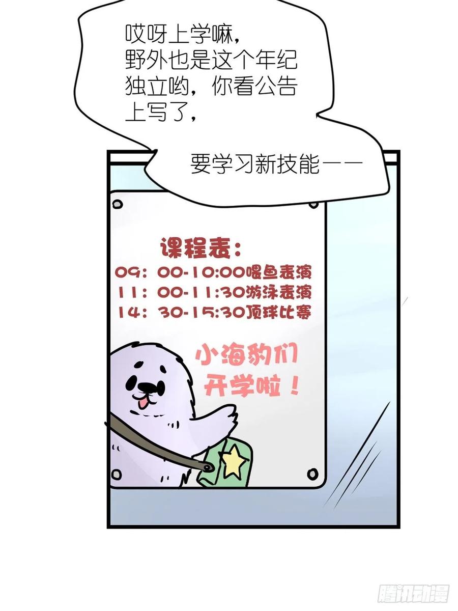 四海篇13：海豹豹的奇幻漂流6(1/2)-第245话