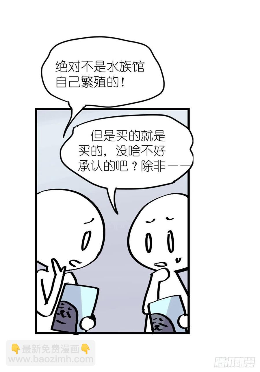 四海篇13：海豹豹的奇幻漂流6(1/2)-第245话