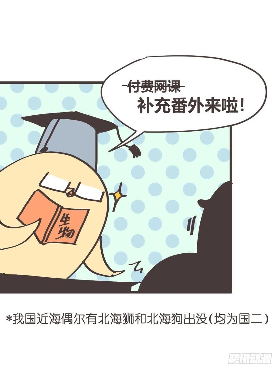 四海篇13：海豹豹的奇幻漂流6(1/2)-第245话