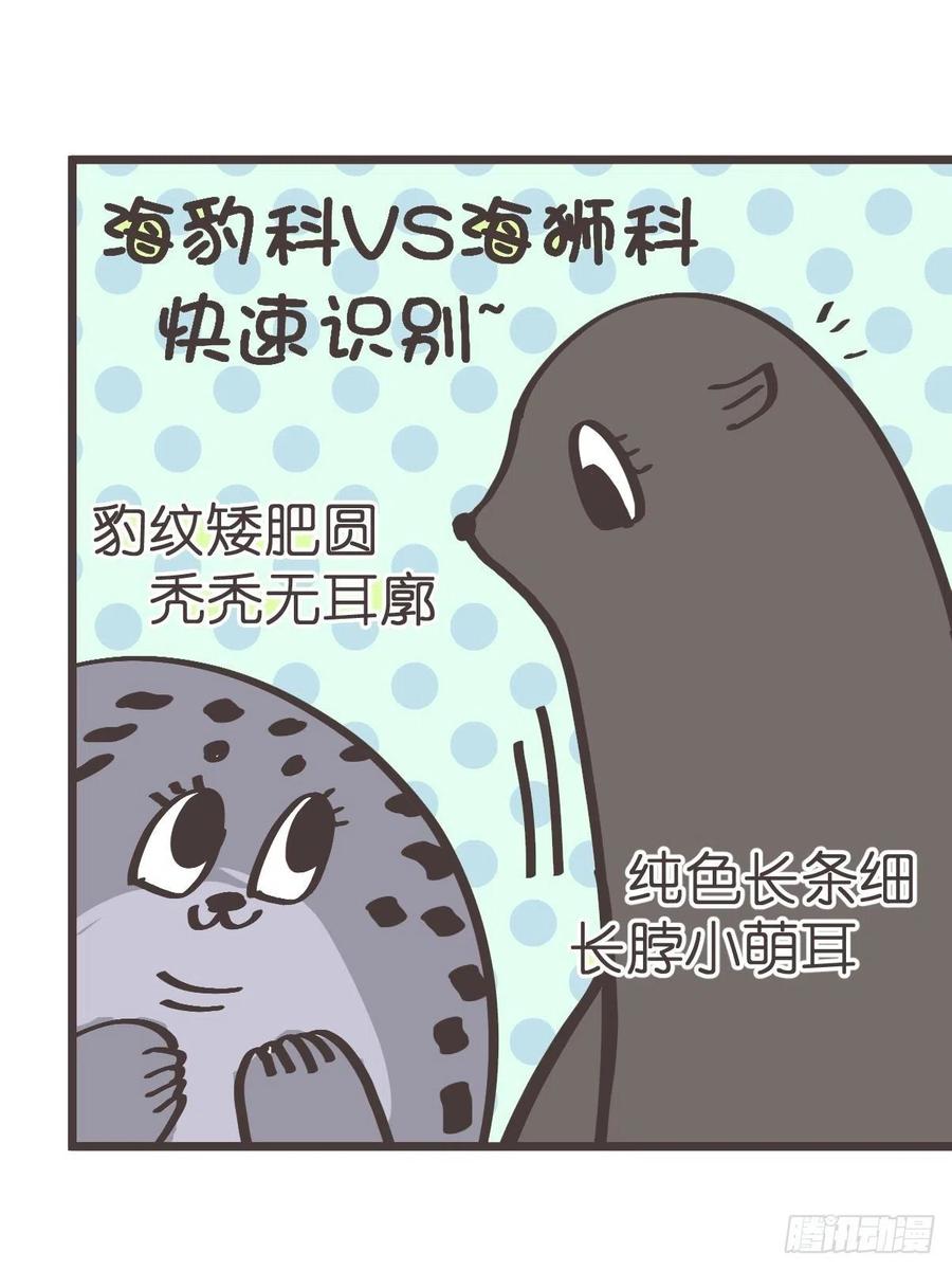 四海篇13：海豹豹的奇幻漂流6(1/2)-第245话