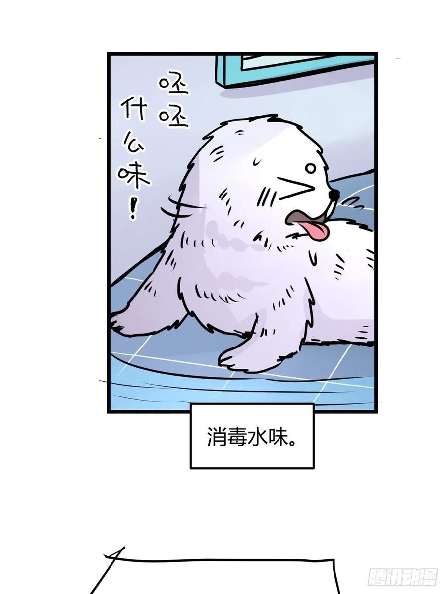 四海篇13：海豹豹的奇幻漂流6(1/2)-第245话