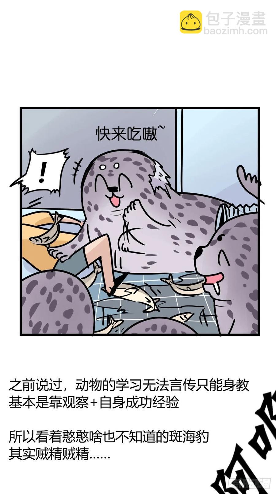 四海篇15：海豹豹奇幻漂流8(1/2)-第247话