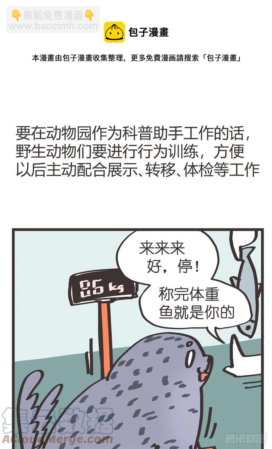 四海篇15：海豹豹奇幻漂流8(1/2)-第247话
