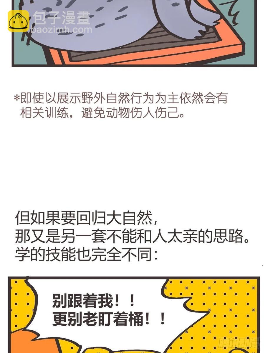 四海篇15：海豹豹奇幻漂流8(1/2)-第247话
