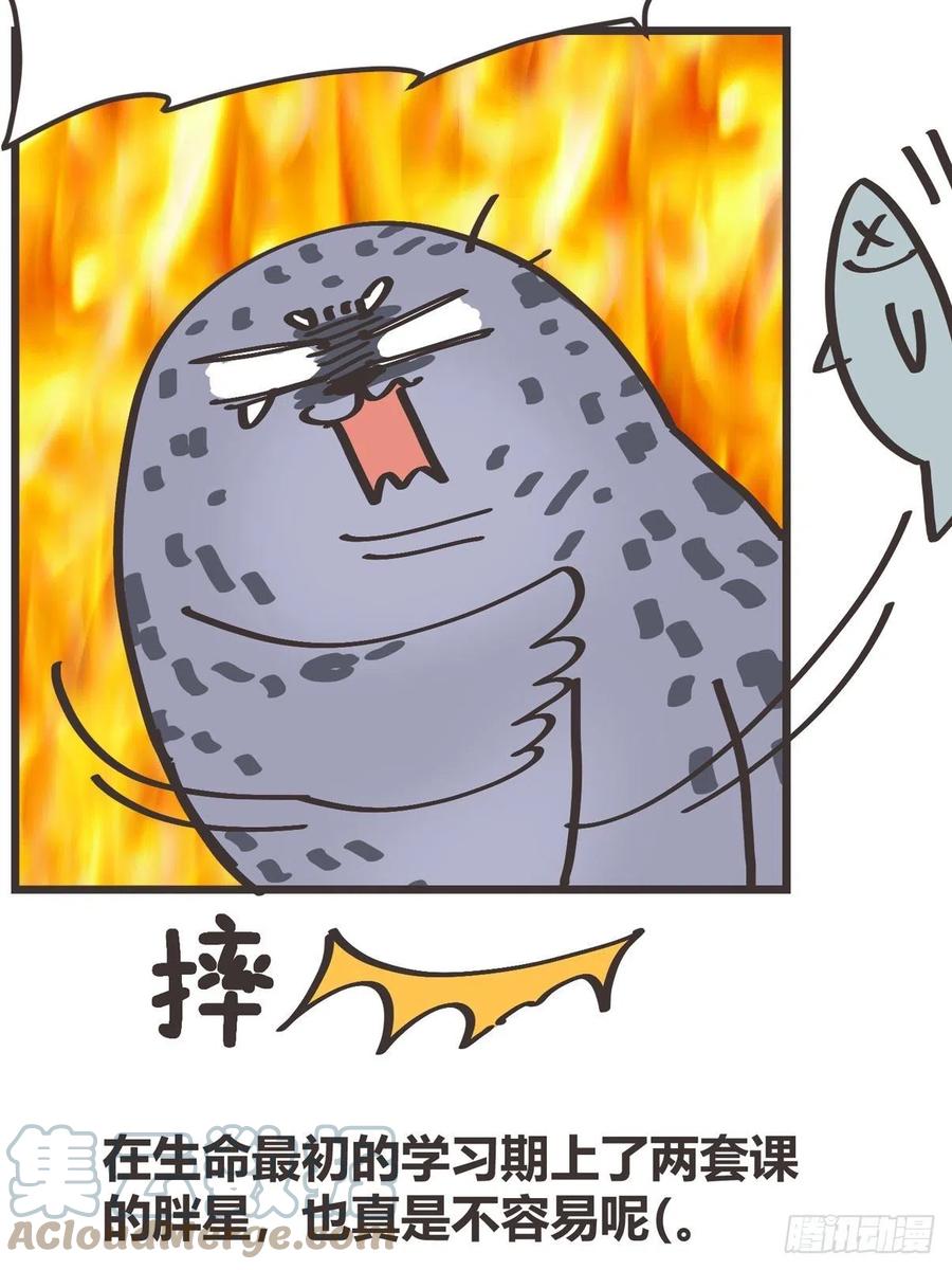 四海篇15：海豹豹奇幻漂流8(1/2)-第247话