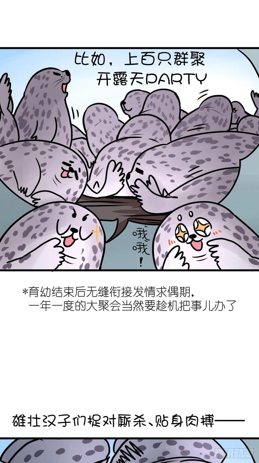 四海篇17：海豹豹奇幻漂流10-第249话