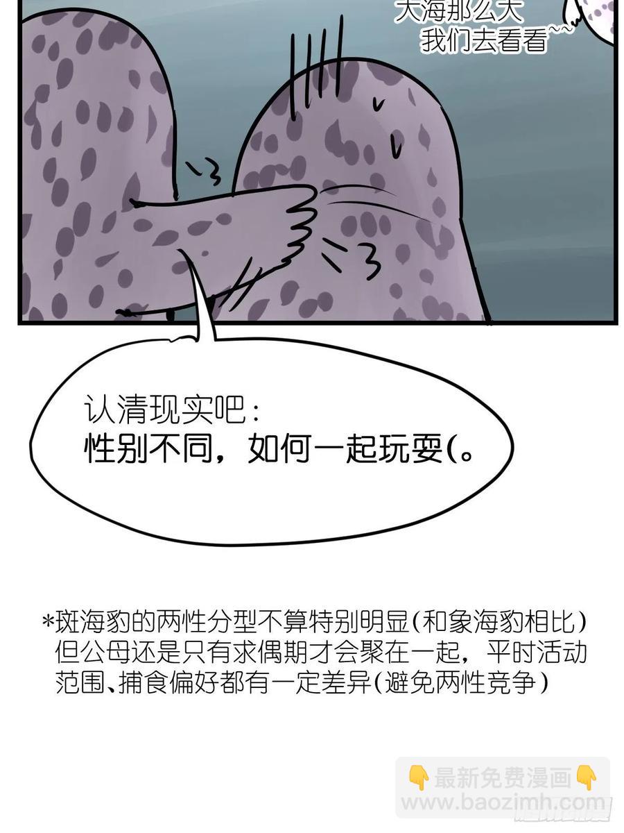 四海篇17：海豹豹奇幻漂流10-第249话