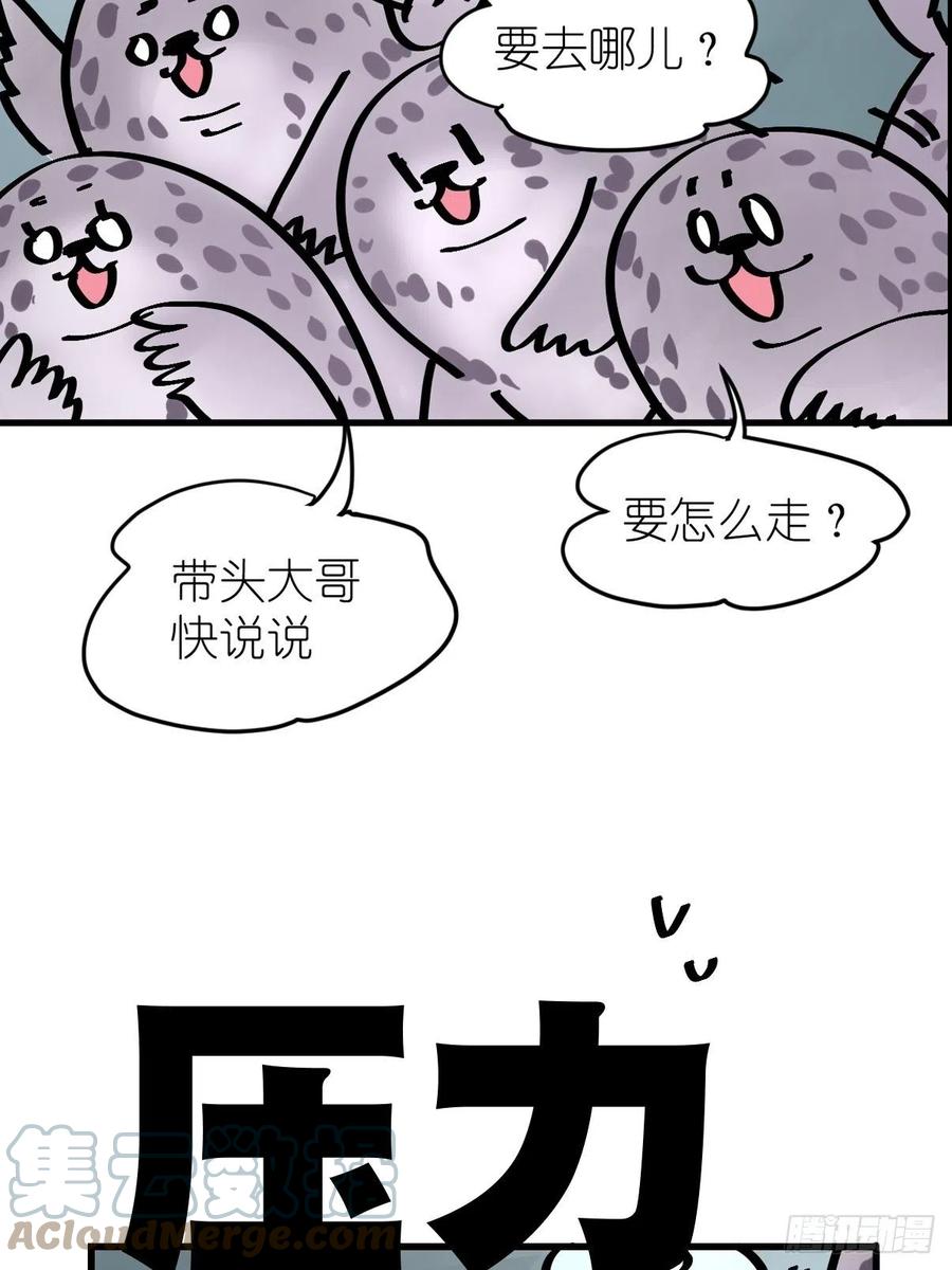 四海篇17：海豹豹奇幻漂流10-第249话