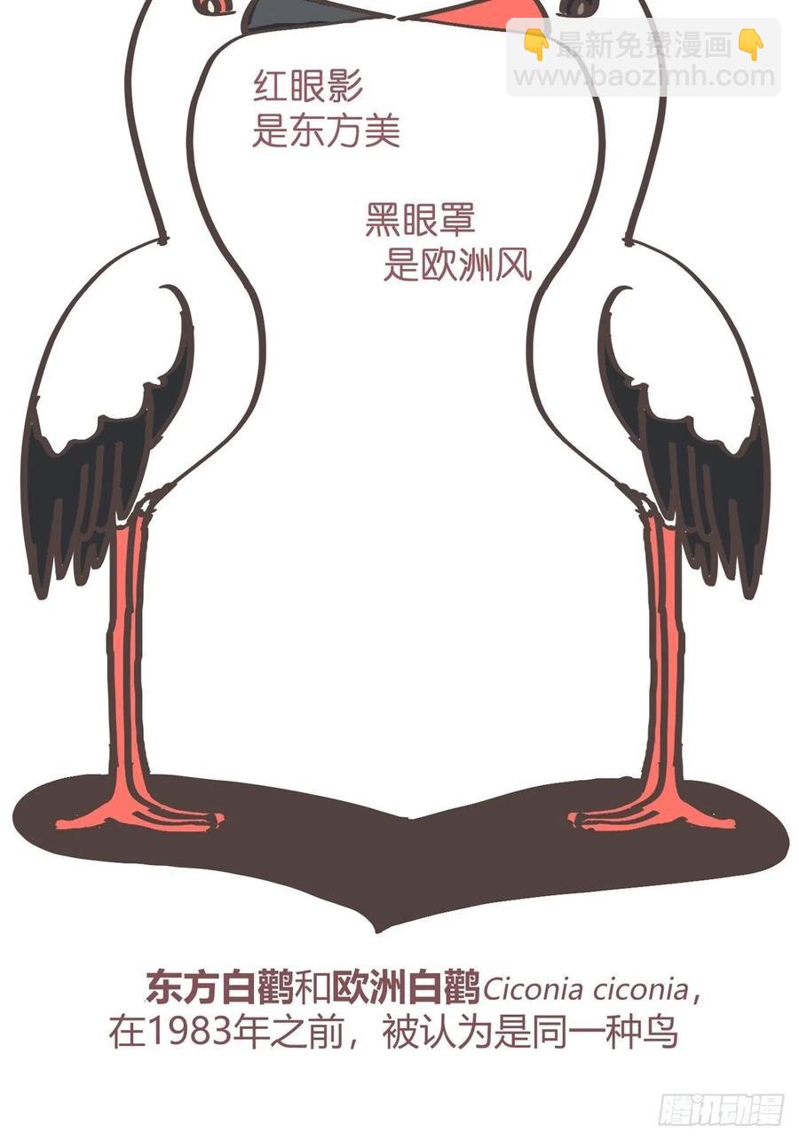 四海篇19：进狱系国宝？01-第251话