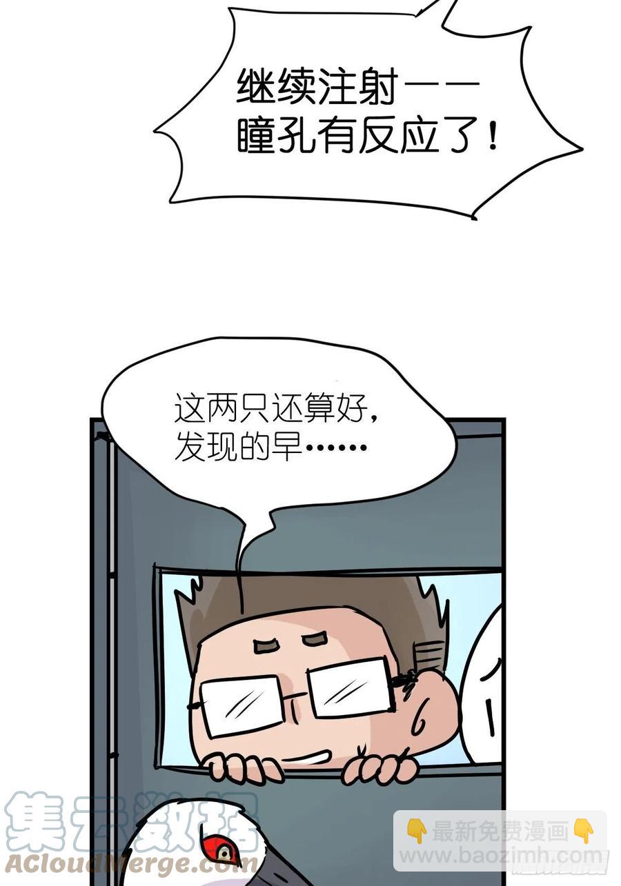 四海篇21：进狱系国宝？03-第253话