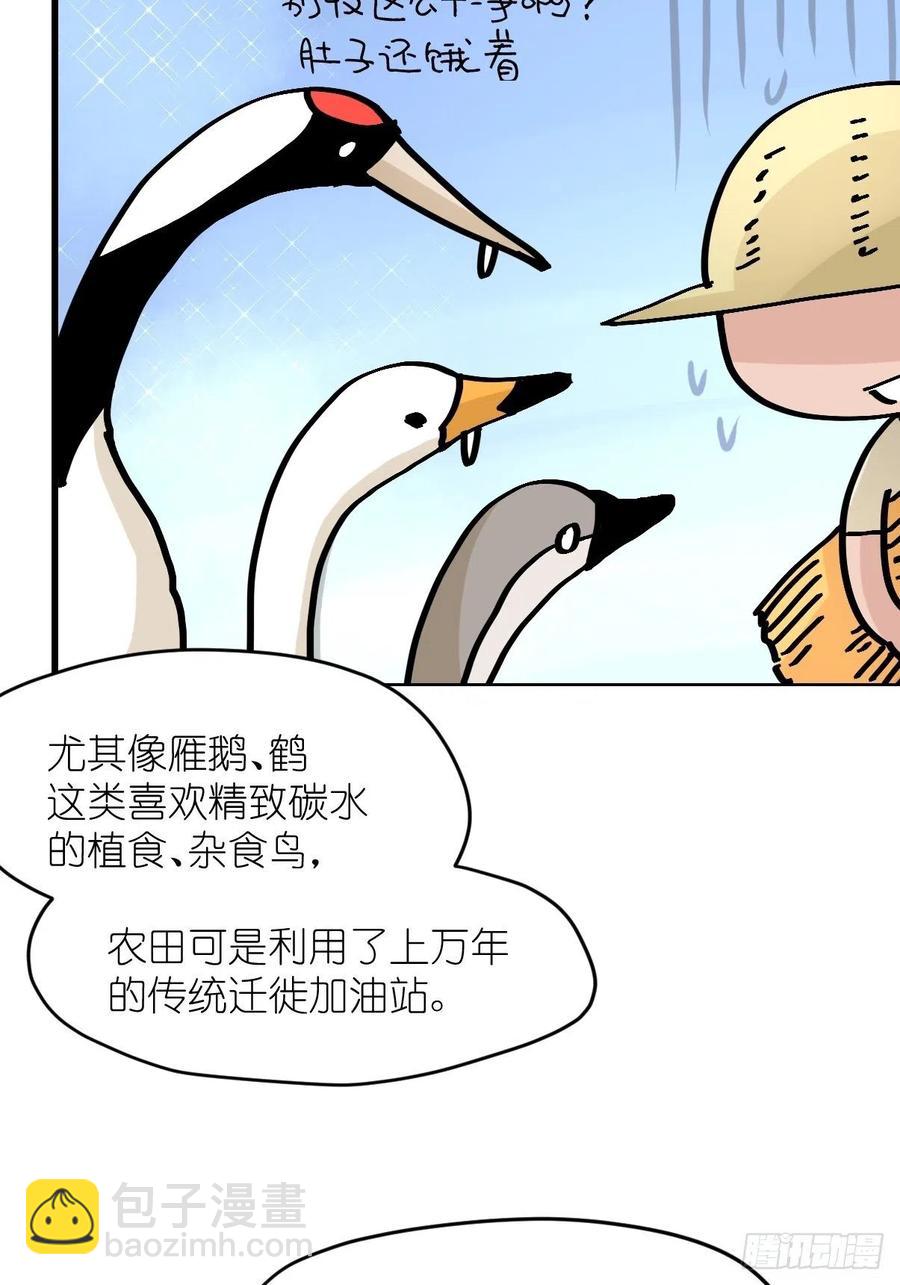 四海篇23：月夜缉凶01-第255话