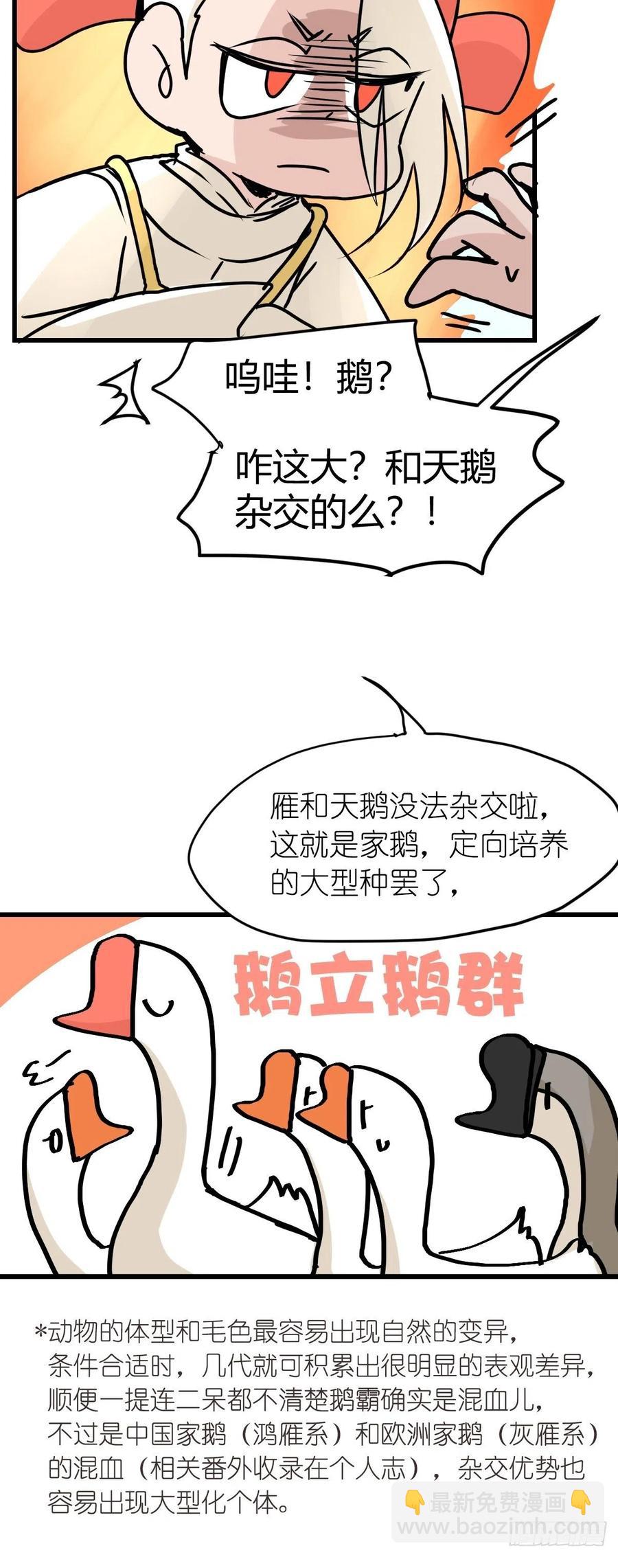 四海篇23：月夜缉凶01-第255话