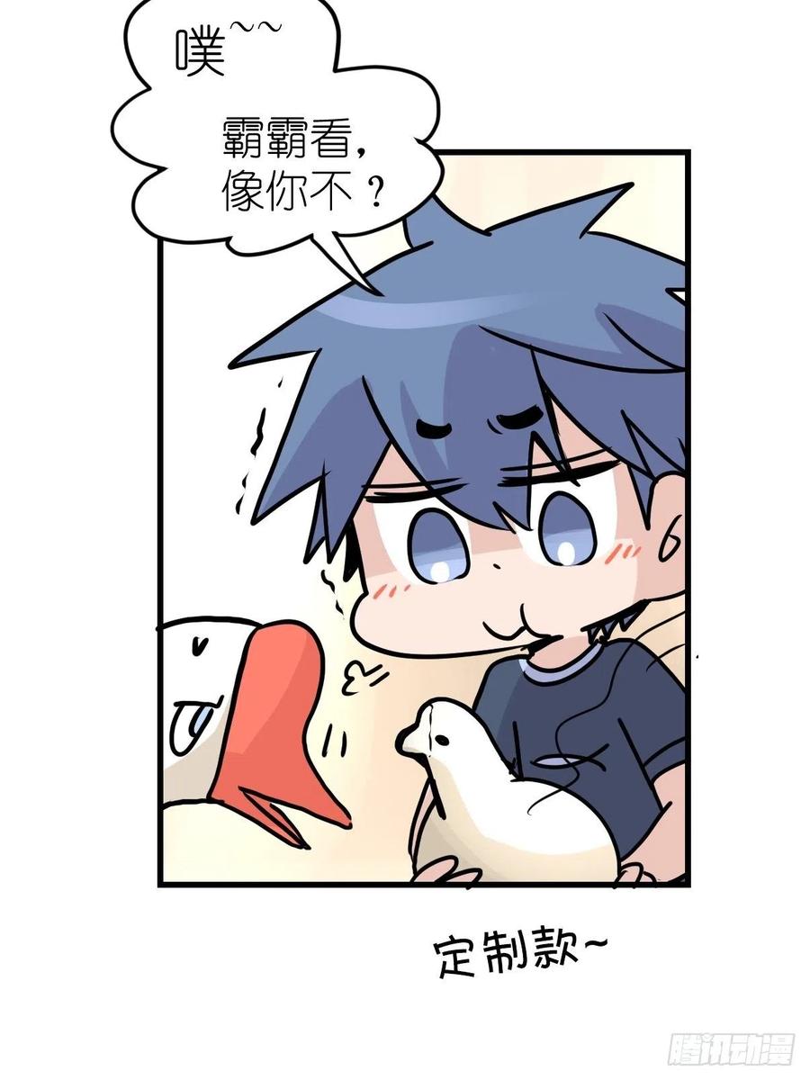 四海篇23：月夜缉凶01-第255话