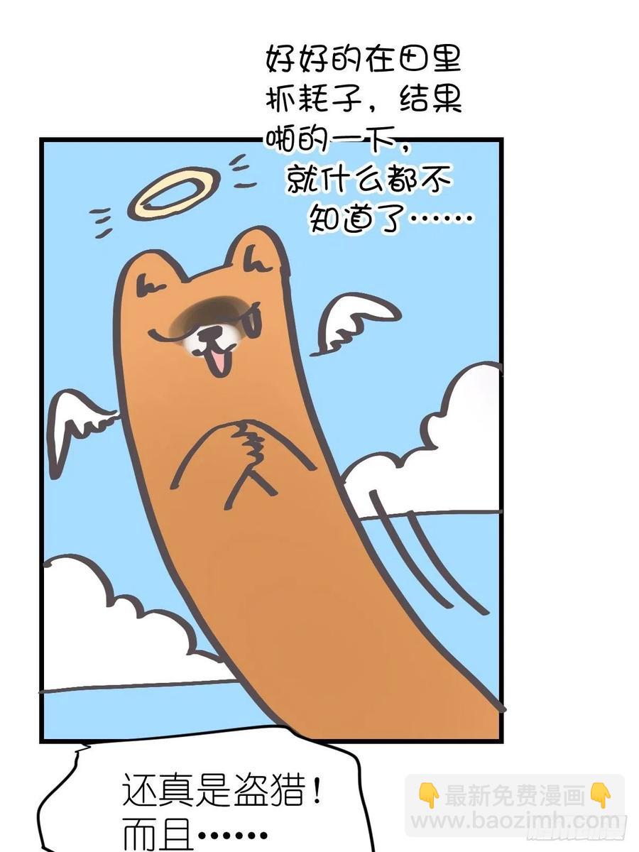 四海篇25：月夜缉凶03-第257话